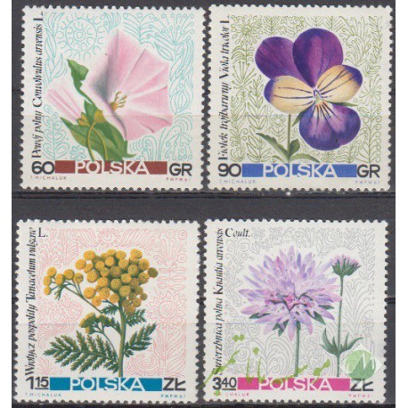 سری گل لهستان
