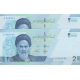 جفت 20000 ریال دژپسند-همتی(1/1)